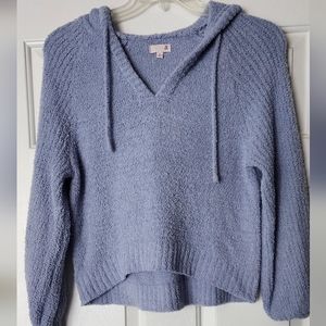 Blue hooded sweater. So. Brand. Size M.